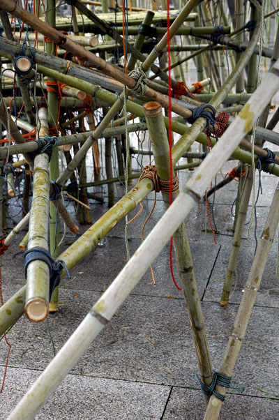 Starn_twins_Bambu_joints.jpg