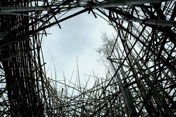 Starn_twins_Bambu_sky_hole.jpg