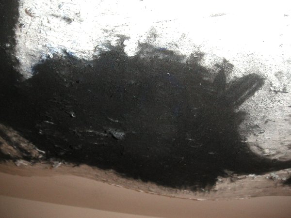 Pensatodetail.jpg