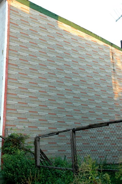 asphaltshinglewallvinegar.jpg